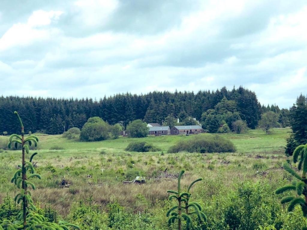 Maberry Cottage Bargrennan Dış mekan fotoğraf